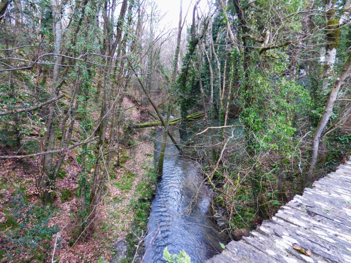 The Mill Cottage Llechryd Extérieur photo